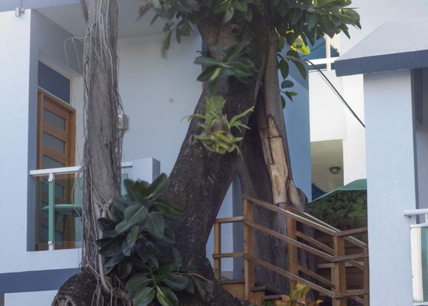 Puerto Plata Sosua Property Grounds