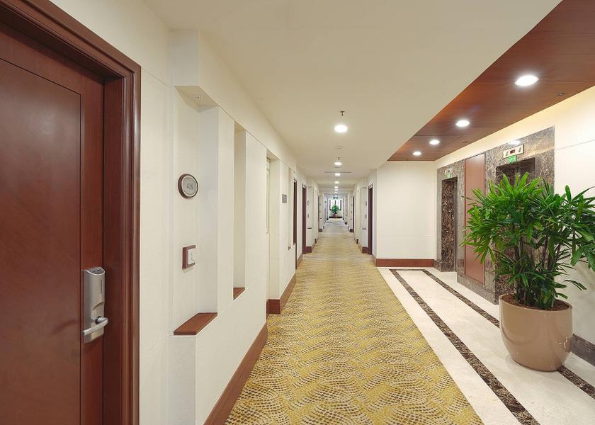 Haryana Gurugram Lobby