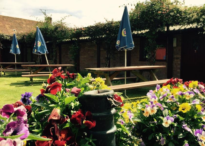 England Ilminster Garden