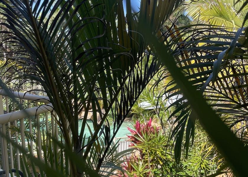 New South Wales Ulladulla Courtyard View