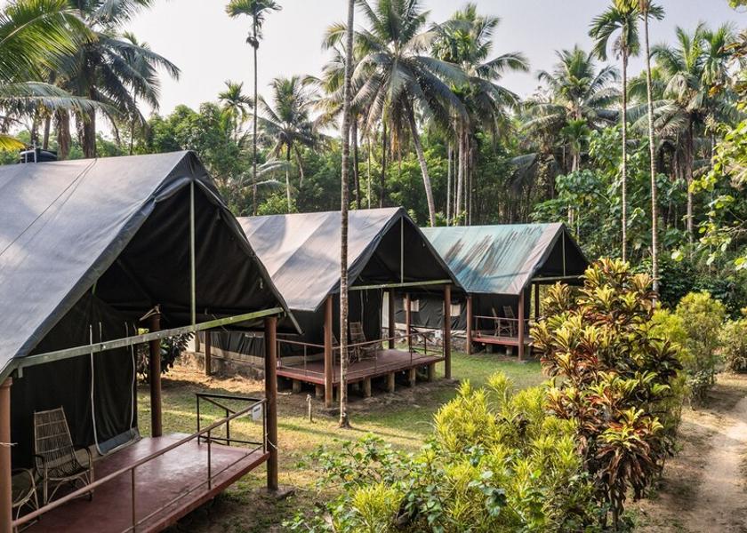 Kerala Thattekad Room