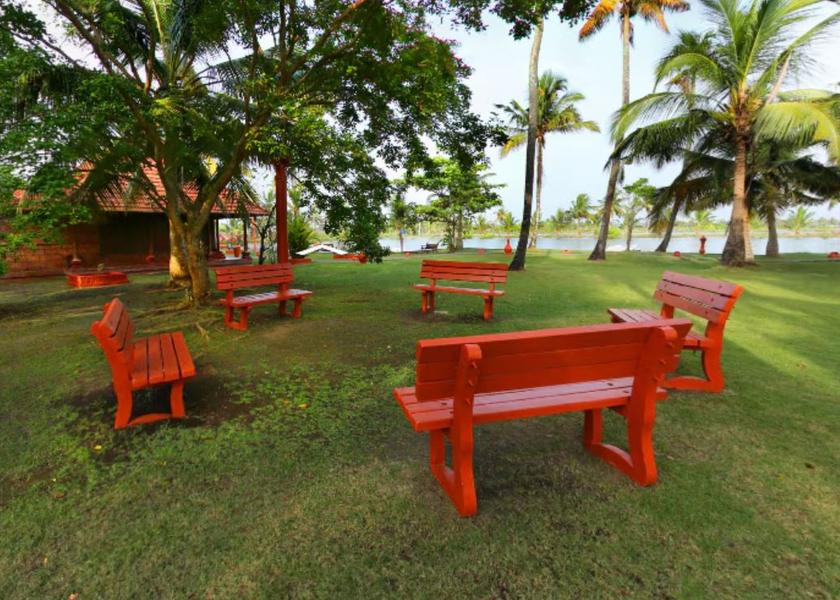 Kerala Kochi Outdoors