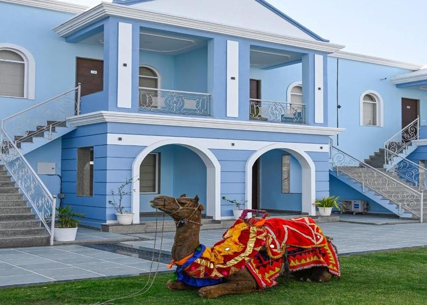 Rajasthan Udaipur Hotel View