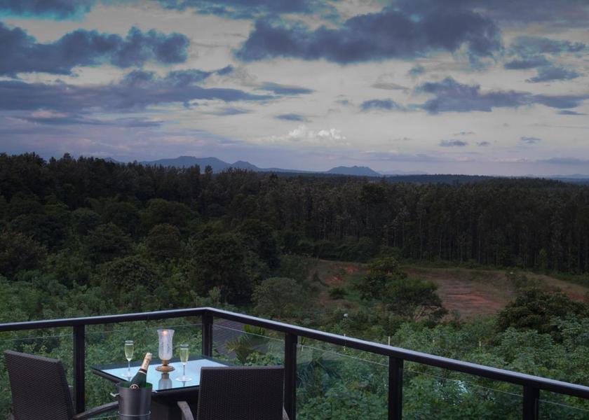 Karnataka Chikkamagaluru View from Property