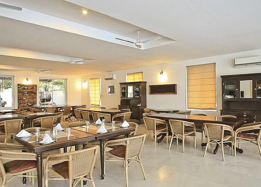 Rajasthan Udaipur Food & Dining