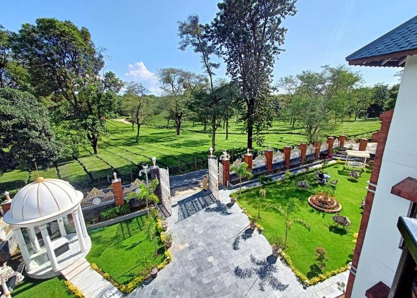 Himachal Pradesh Palampur Outdoors