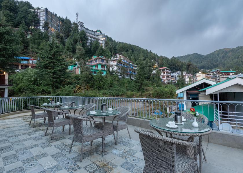 Himachal Pradesh Dharamshala Outdoors