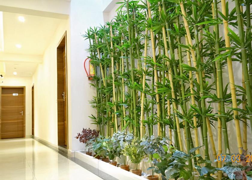 Karnataka Chikkamagaluru Hotel Exterior