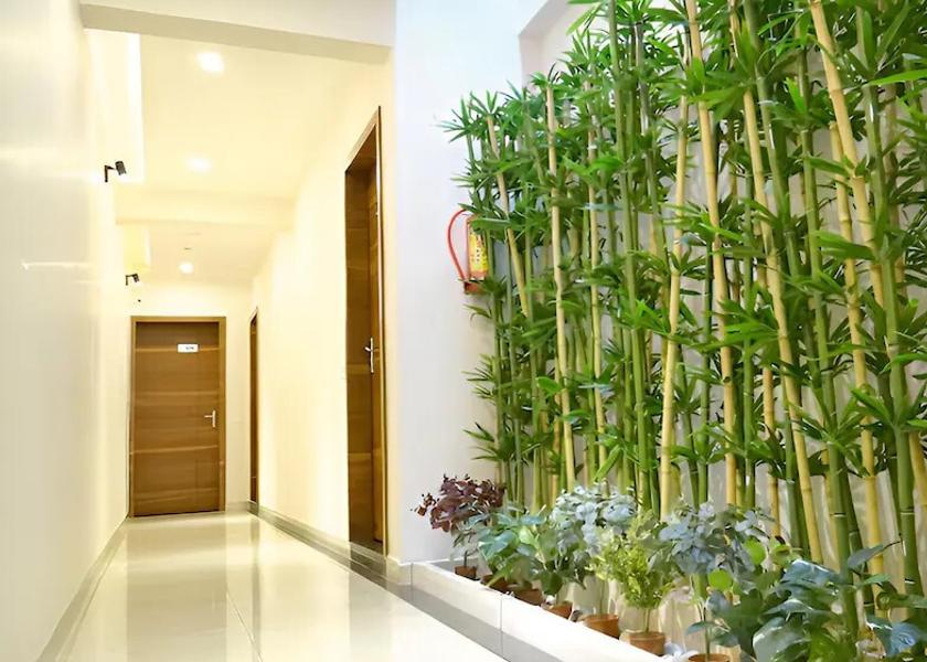 Karnataka Chikmagalur Public Areas