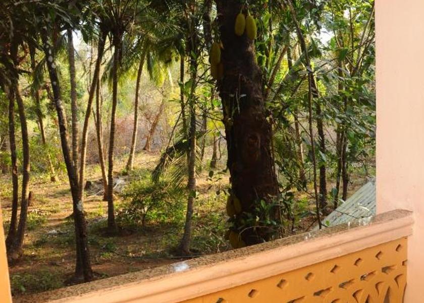 Goa Canacona Corridors