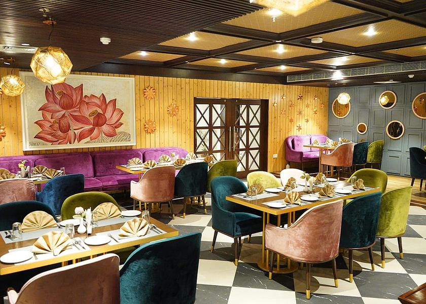 Himachal Pradesh Dharamshala Food & Dining
