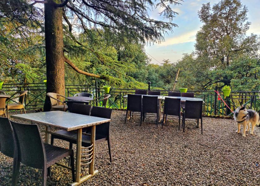 Himachal Pradesh Shimla Restaurant