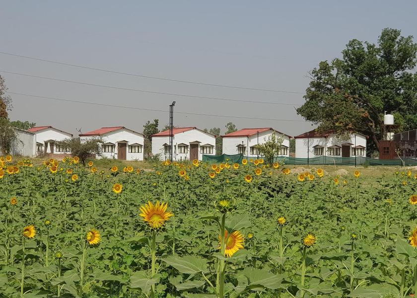 Uttar Pradesh Prayagraj Outdoors