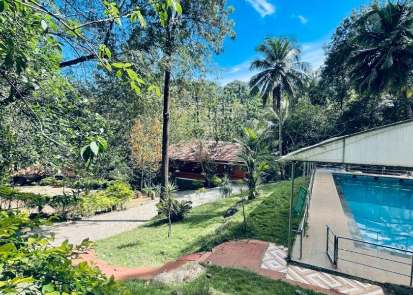Kerala Palakkad Pool