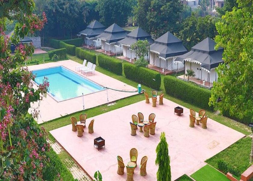 Rajasthan Sawai Madhopur Pool