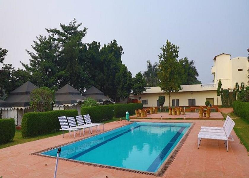 Rajasthan Sawai Madhopur Pool