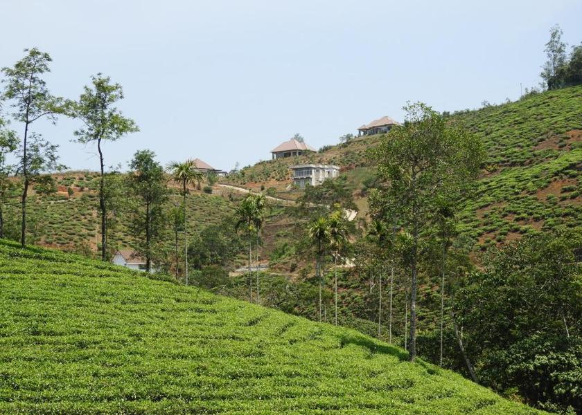 Kerala Kuttikkanam Hotel View