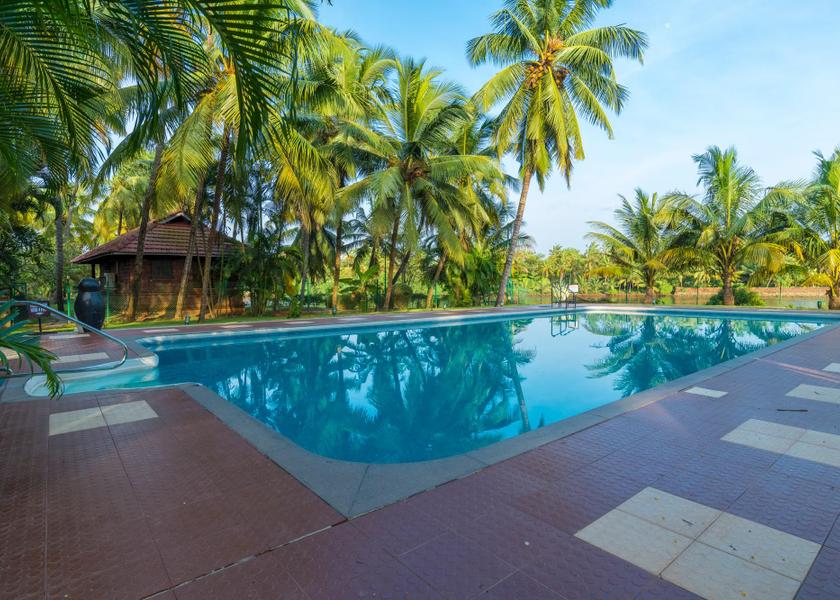 Kerala Nileshwar Public Areas