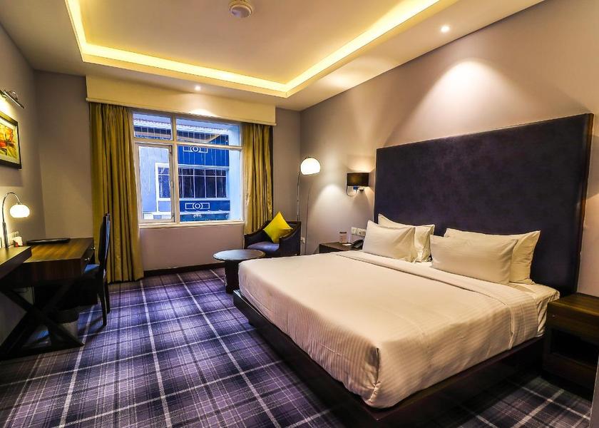 Chhattisgarh Raipur Deluxe Double Room