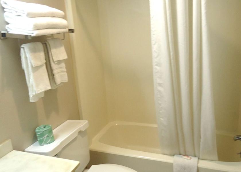 Pennsylvania Paxinos Room