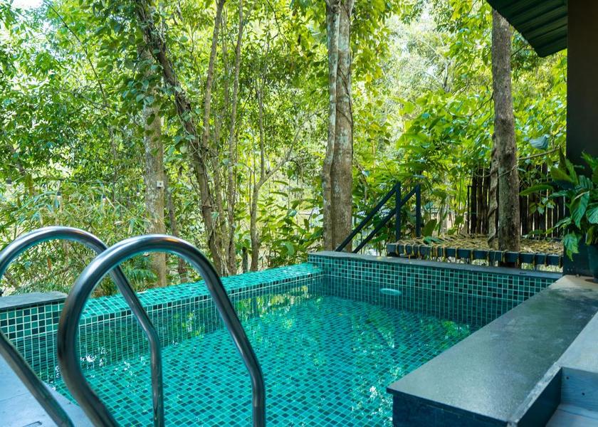 Kerala Wayanad Pool