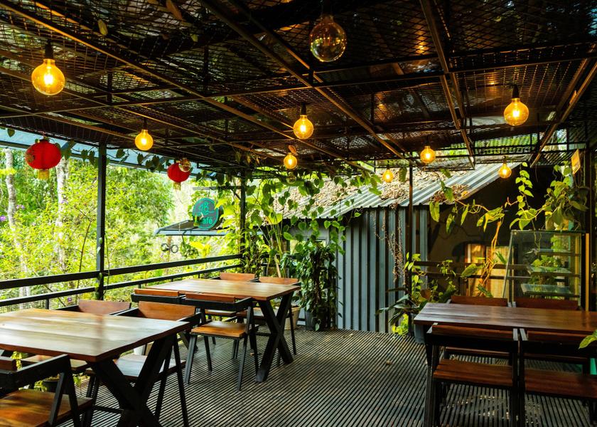 Kerala Wayanad Food & Dining