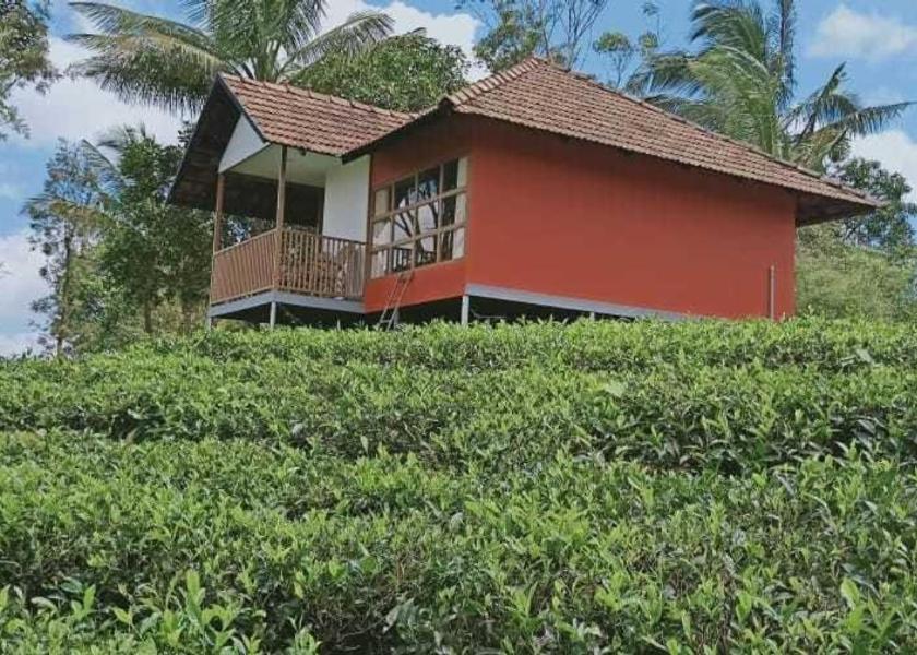 Kerala Wayanad Exterior Detail