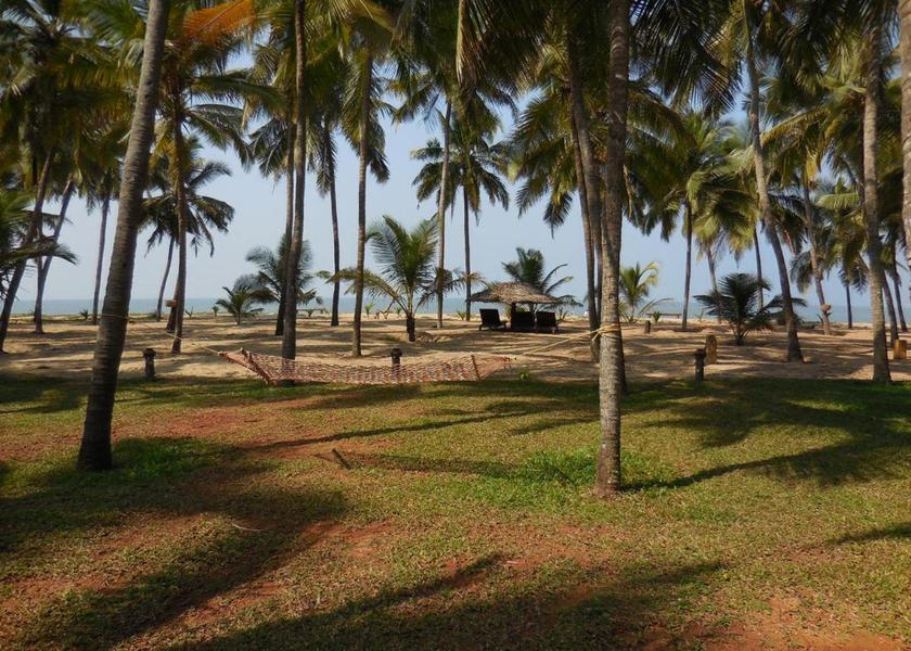 Kerala Nileshwar Outdoors