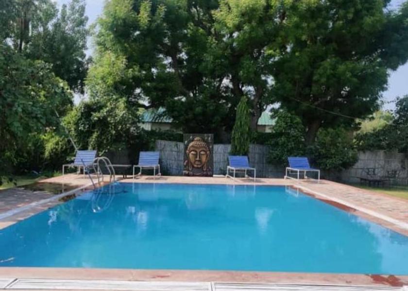 Rajasthan Pushkar Pool