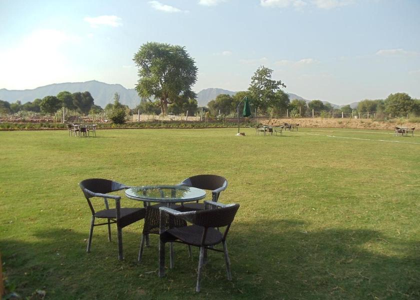 Rajasthan Pushkar Outdoors