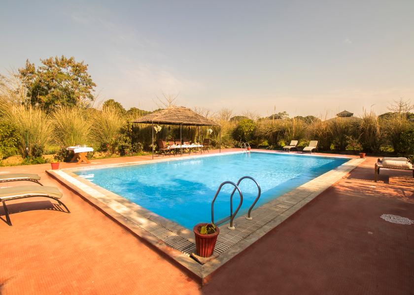 Rajasthan Sawai Madhopur Pool