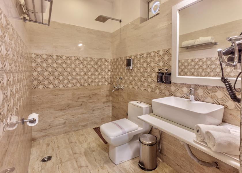 Himachal Pradesh Manali Standard Alpine Room