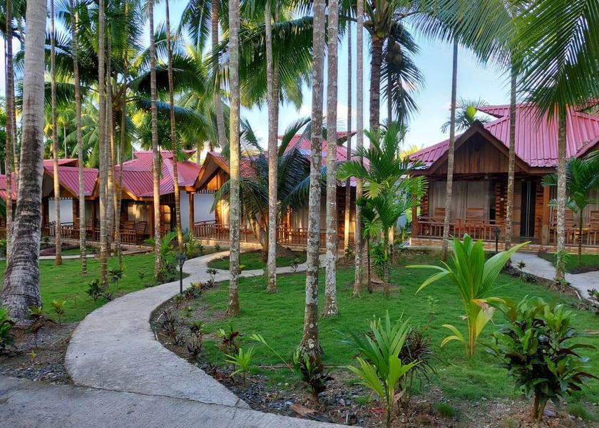 Andaman and Nicobar Neil Island Outdoors