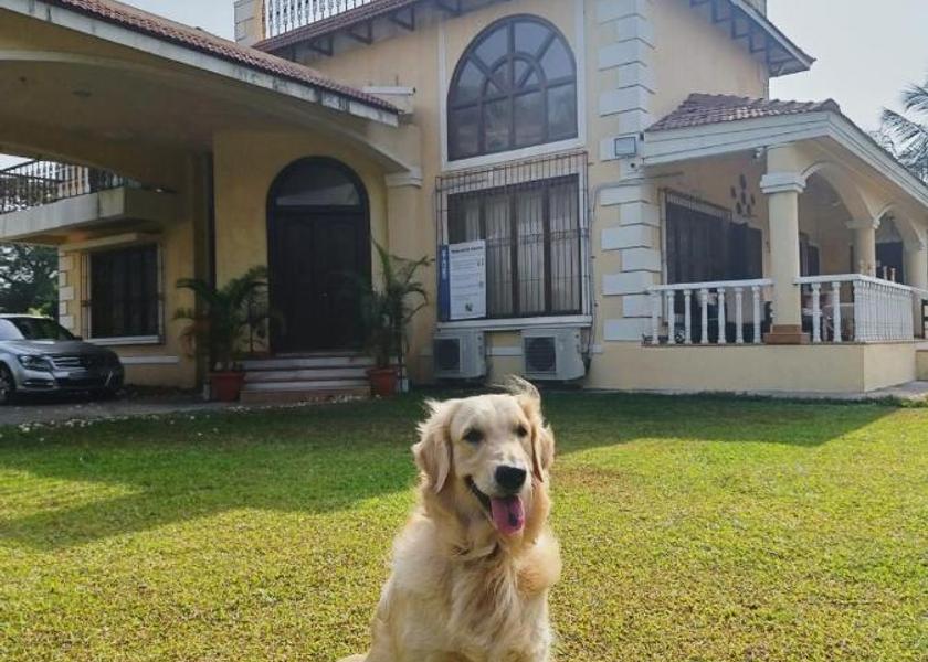 Maharashtra Alibaug Hotel Exterior