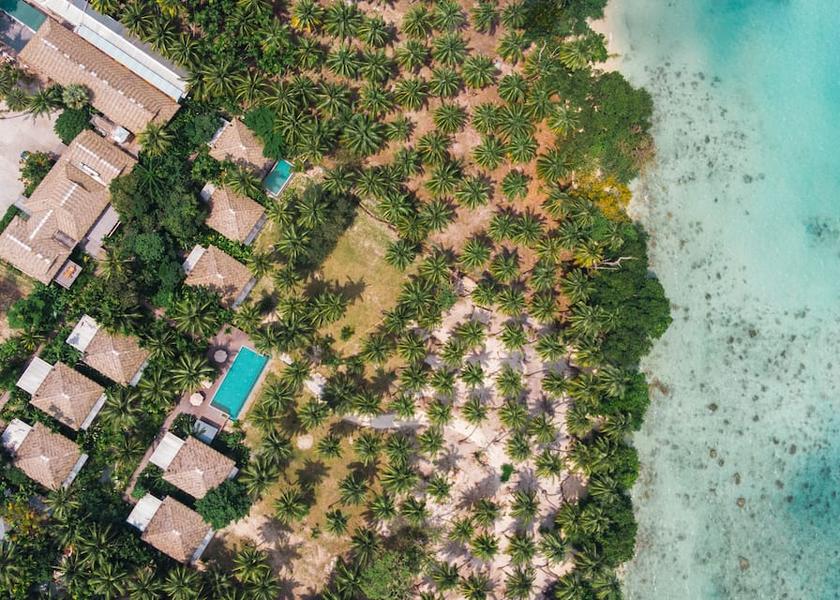 Andaman and Nicobar Havelock Island Tialr Siro