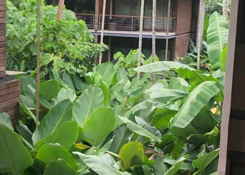 Andaman and Nicobar Havelock Island Garden