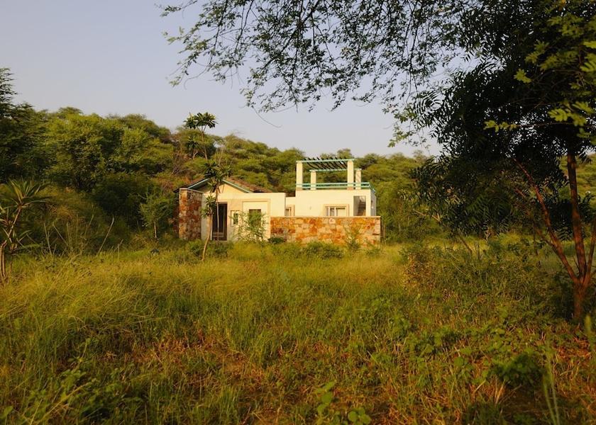 Rajasthan Alwar Room