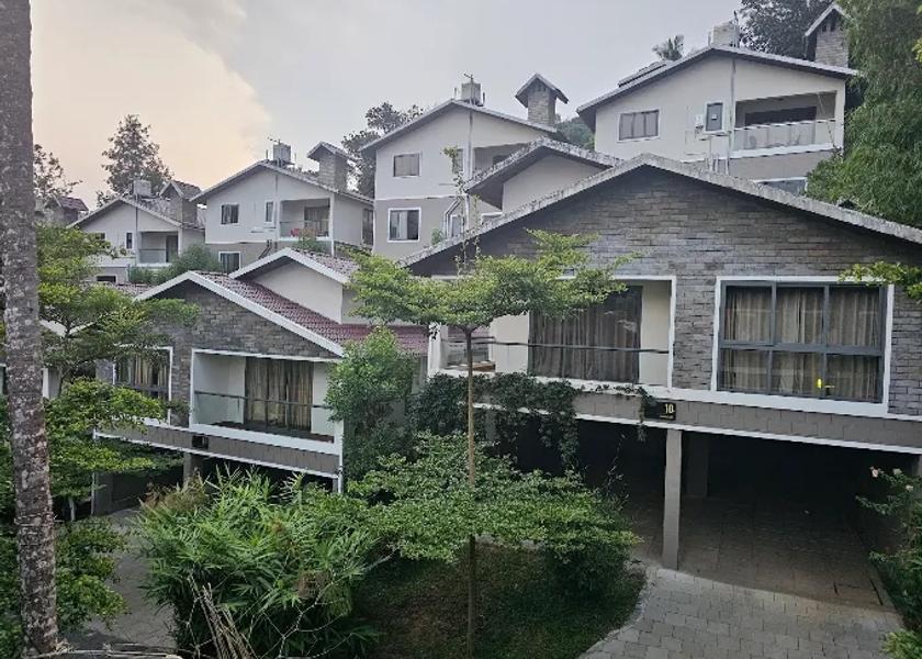 Kerala Wayanad 