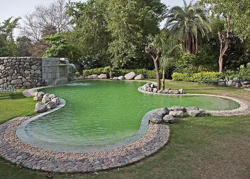 Rajasthan Ranakpur Pool