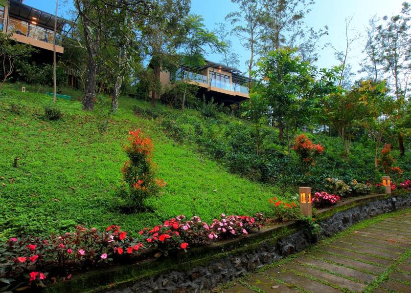 Kerala Kuttikkanam Outdoors