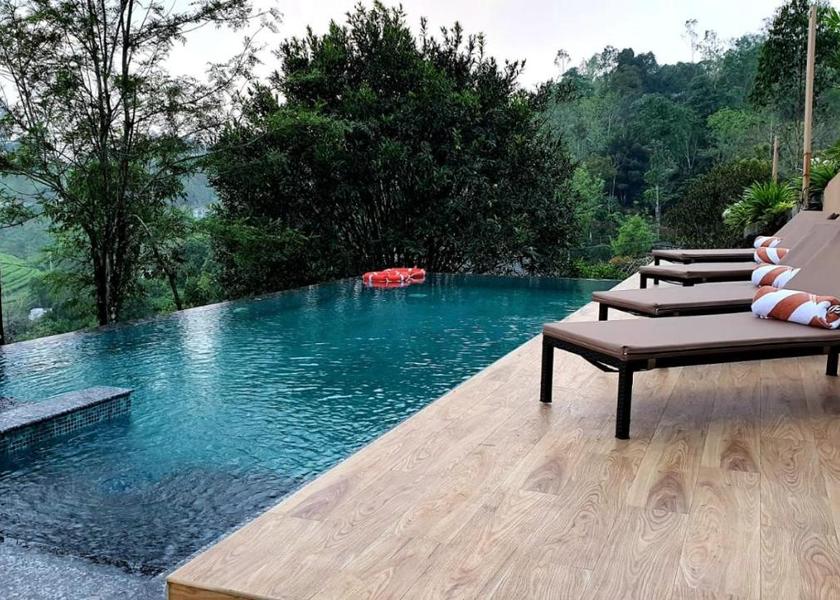 Kerala Kuttikkanam Pool