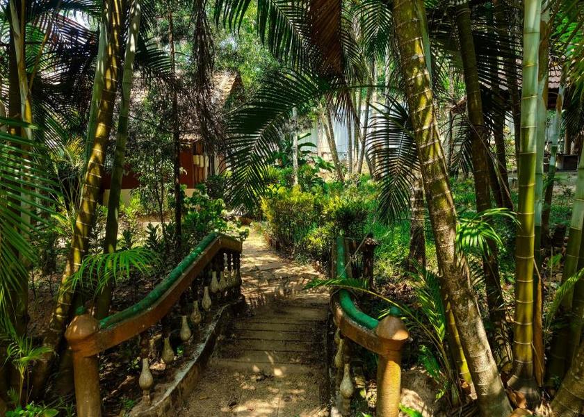 Karnataka Madikeri Outdoors
