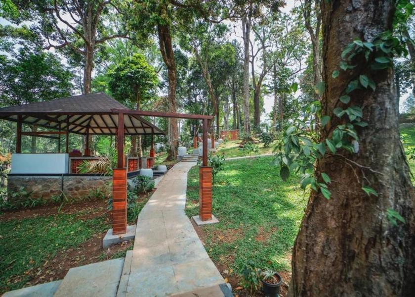 Kerala Palakkad Outdoors