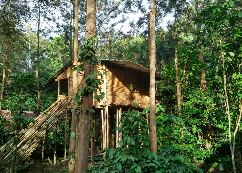 Tamil Nadu Mudumalai Hotel Exterior