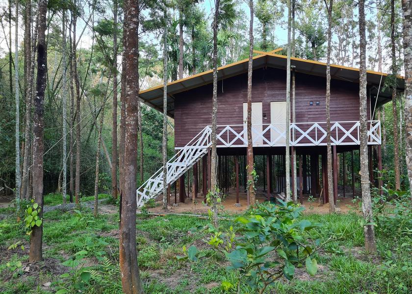 Tamil Nadu Mudumalai Hotel Exterior