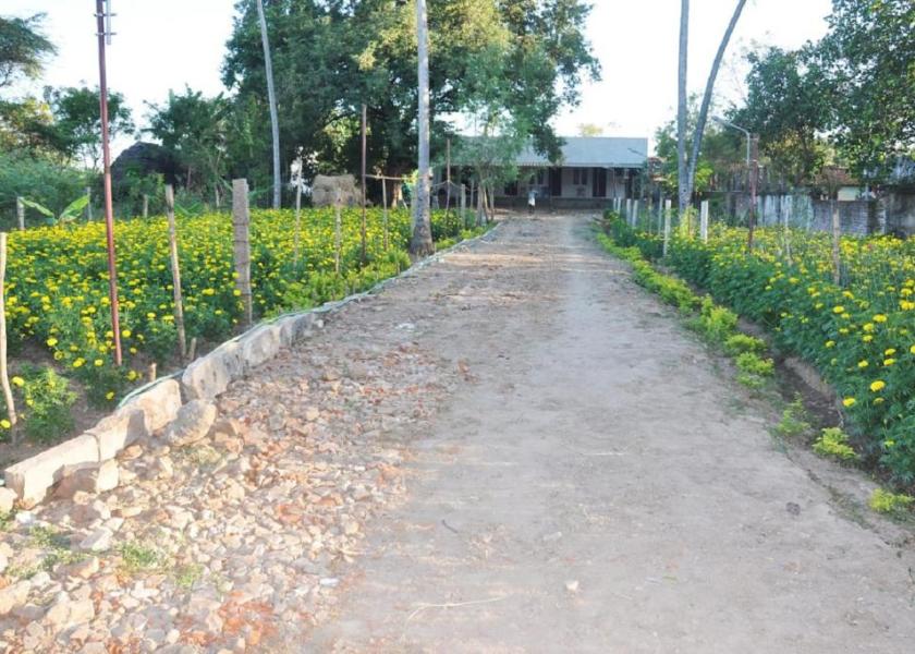 Tamil Nadu Mayiladuthurai Outdoors