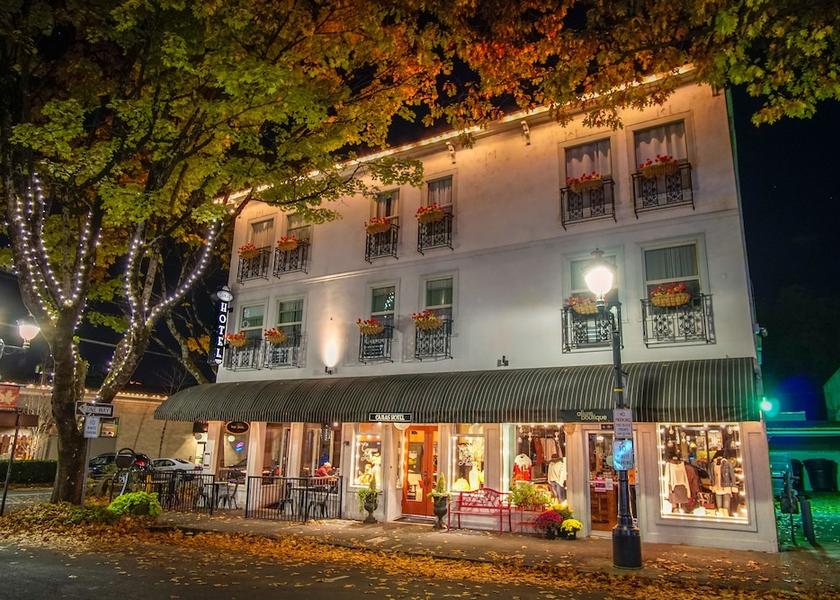 Washington Camas Primary image