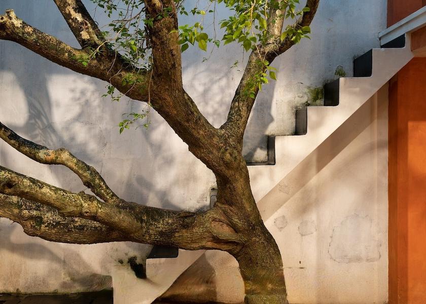 Western Province Colombo Garden