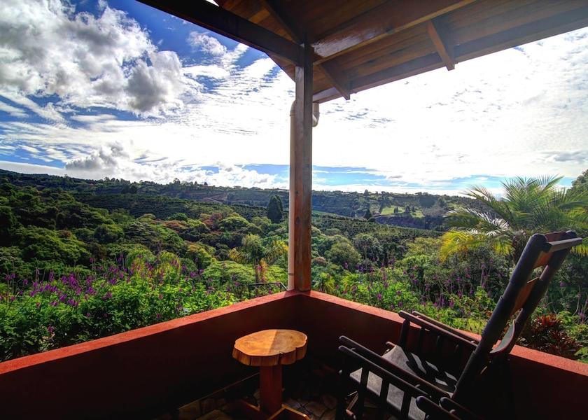 Alajuela Grecia Terrace