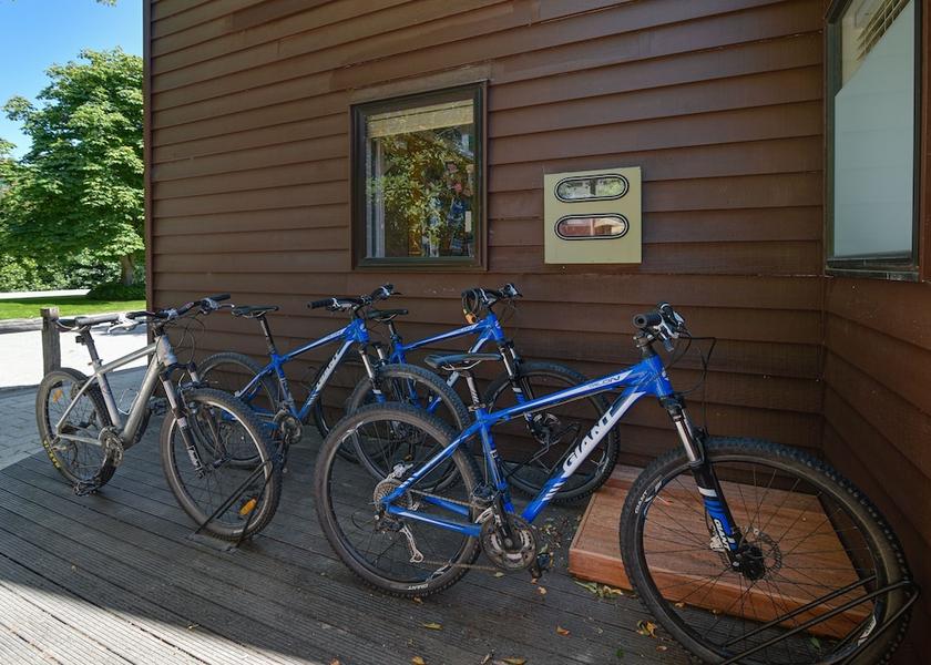 Otago Lower Shotover Bicycling